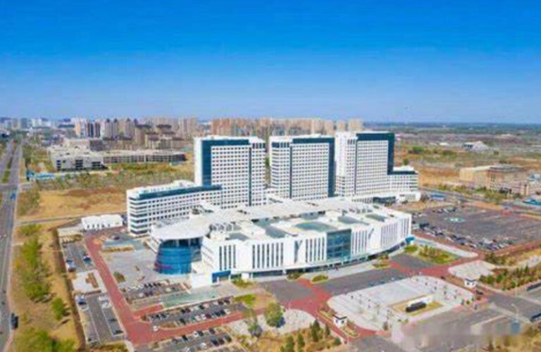 Project Portfolio 2|Qiqihar Center for Disease Control and Prevention