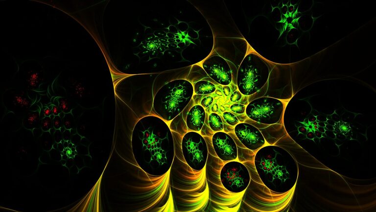 fractal, fractal art, computer graphics